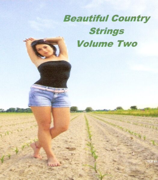 Beautiful Country Strings Volume #2