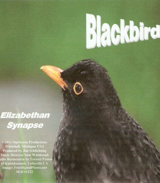 Blackbird