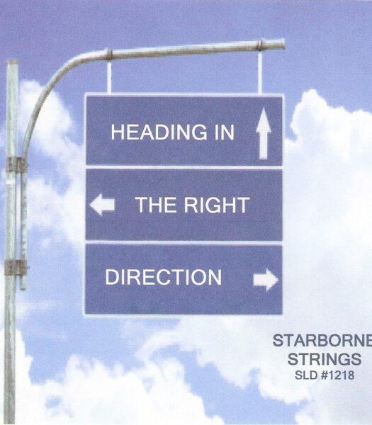Heading In The Right Direction - The Starborne Strings
